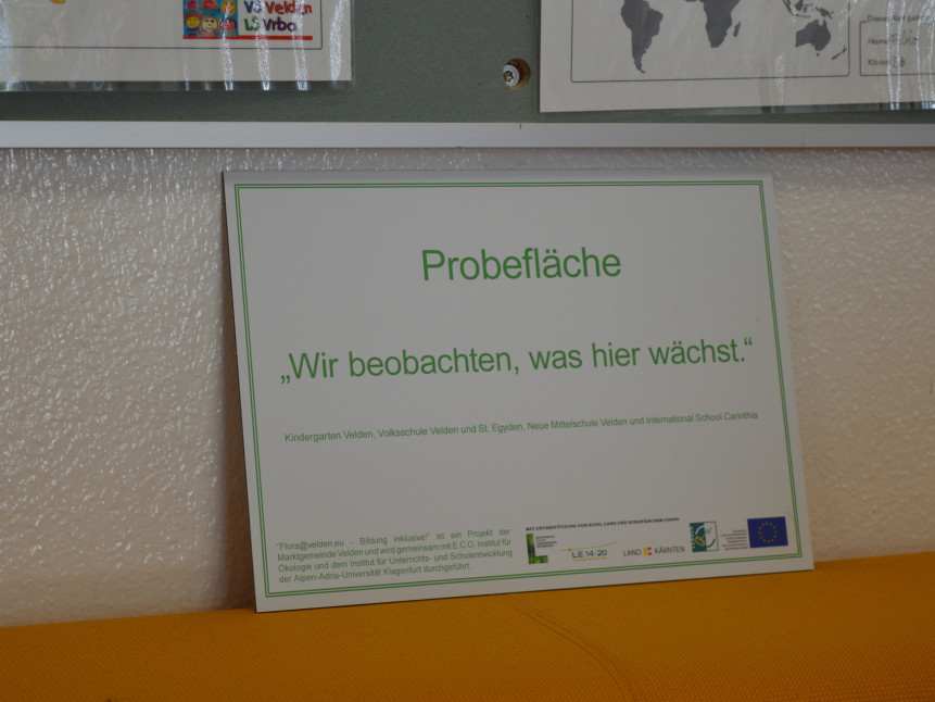 Tafel mit dem Text: Probefläche "Wir beobachten, was hier wächst."