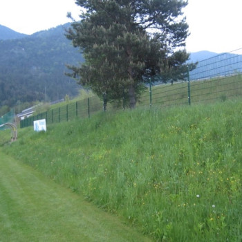 Revitalisierung Sportplatz Lansach (Kleinprojekt)