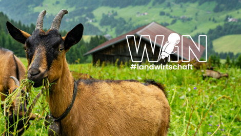 EINLADUNG zu WIN - Werkstatt für Innovation und Naturschutz in der Landwirtschaft